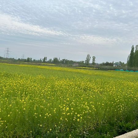 Green View Group Of Houseboats Srīnagar 외부 사진