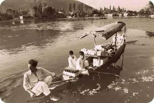 Green View Group Of Houseboats Srīnagar 외부 사진